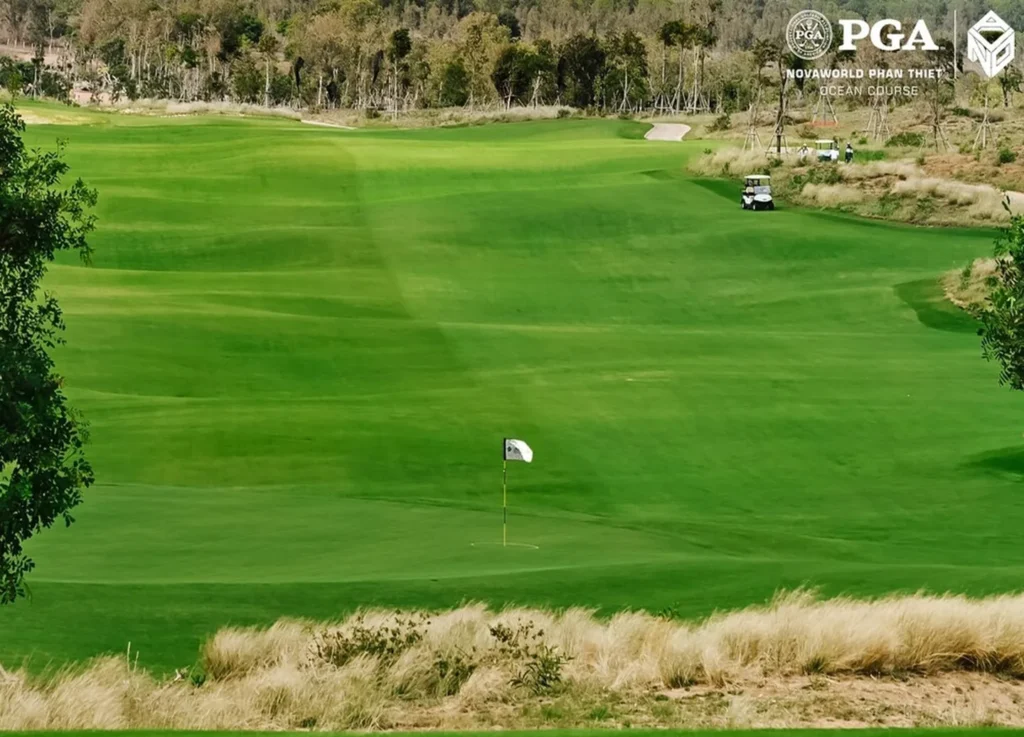 PGA 노바월드 판티엣 골프클럽 · PGA 코스의 그린