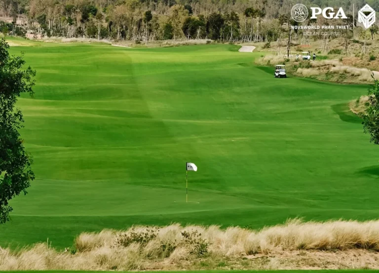 PGA 노바월드 판티엣 골프클럽 · PGA 코스의 그린